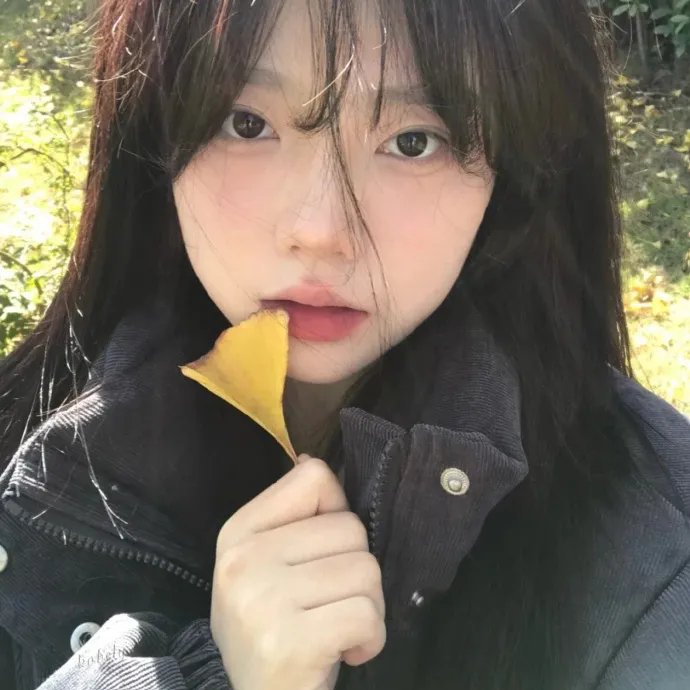 维也纳之舞